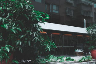 街头直饮水点变身取水站，重庆一景见证城市温度